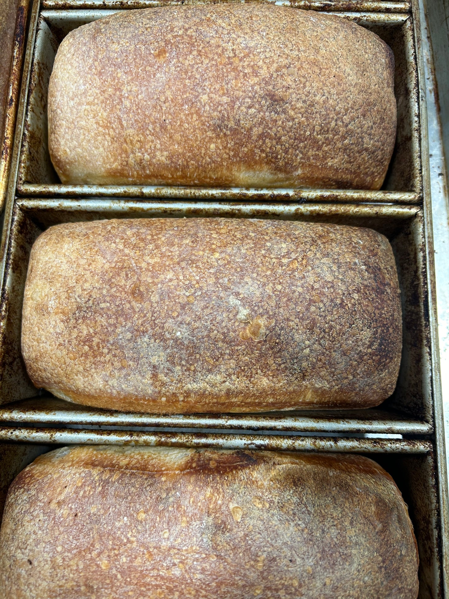 Michigan Sourdough Loaf