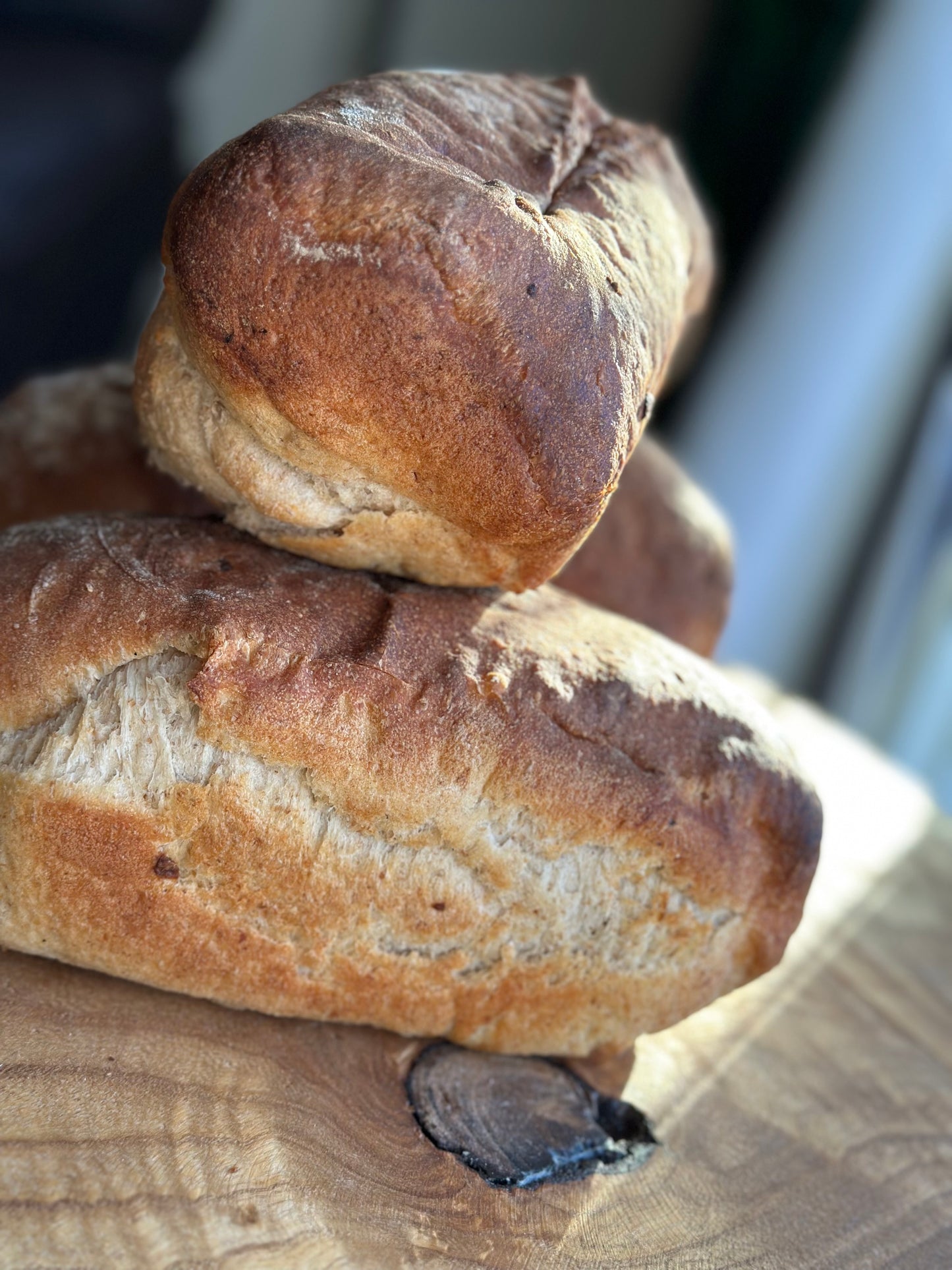 Yukon Sourdough Loaf